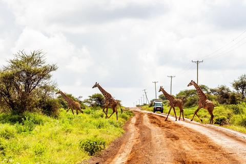 Nairobi: Tour di un giorno al Parco Nazionale Amboseli e al villaggio Maasai