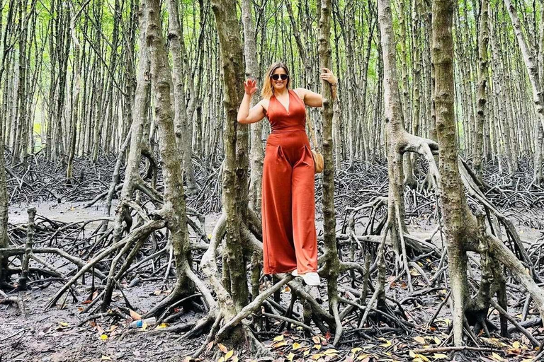 Tour di un giorno della Foresta delle Mangrovie e dell&#039;Isola delle Scimmie di Can Gio