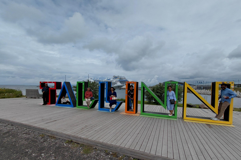From Tallinn: Private tour around Tallinn city with minivan