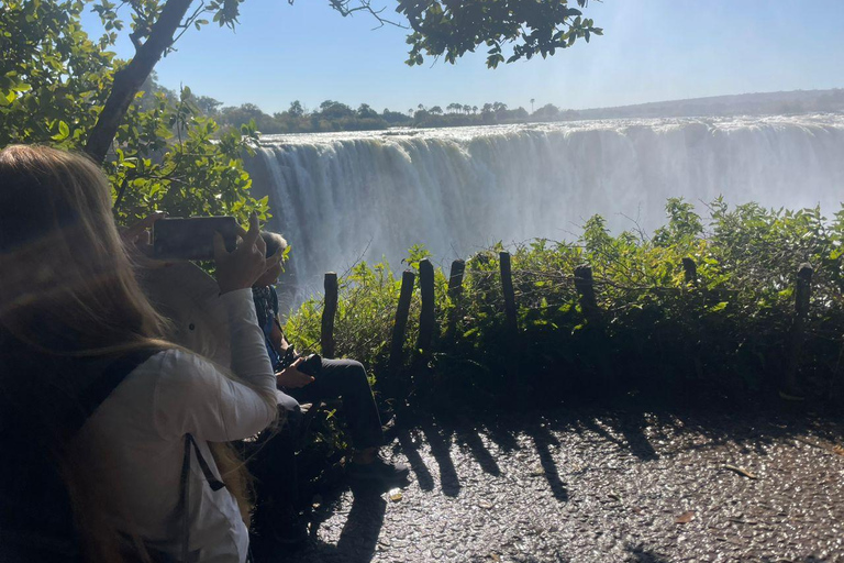 cataratas victoria; tour privado de las cataratas