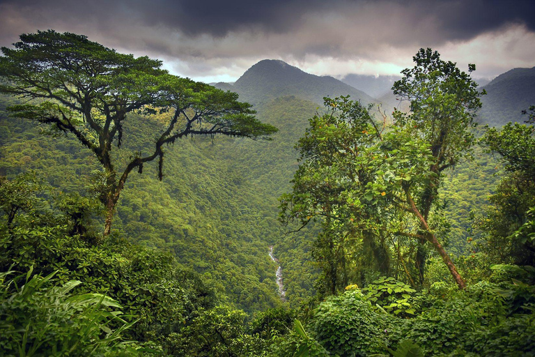 COSTA RICA:UPPTÄCK COSTARICAS VILDA DJUR-STRAND &amp; SKOG 2VECKOR