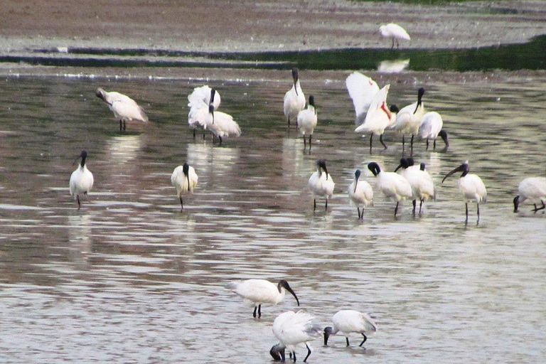 Bangalore: Agara Lake Walking Tour with Coffee