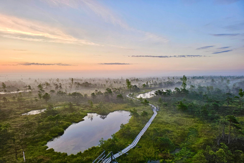 Ķemeri Great Bog With Optional Sunrise & Jūrmala Visit Ķemeri Bog Shared Small Group Tour