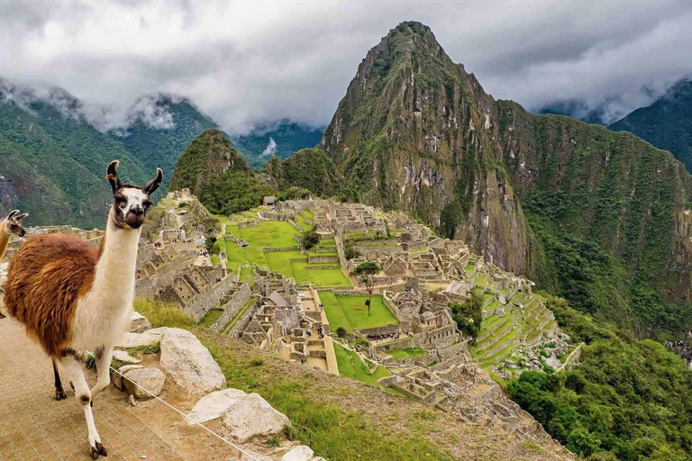 Machu Picchu hele dag