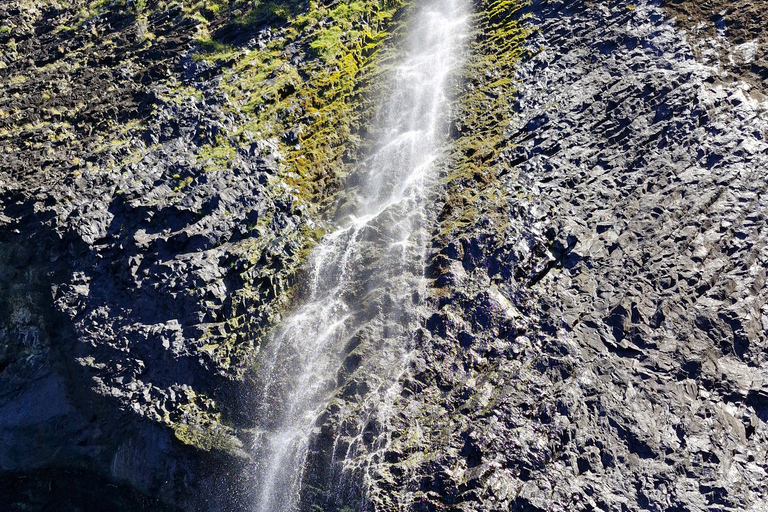 Corvo Island: Full Tour with Boat, Transfers, and Guide Corvo Island: Full Tour with Boat, Transfers, and Guide Included