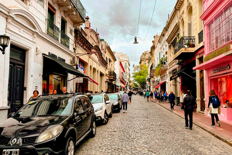 Tour a piedi del cuore storico di Buenos Aires