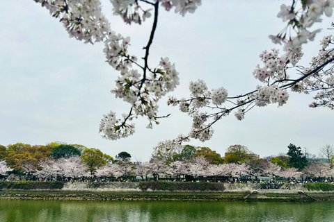 Hiroshima: Geschichte von Hiroshima Private Tour zu Fuß