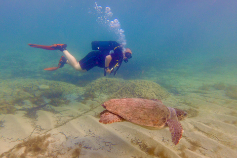 Paphos: Entdecken Sie das Tauchen mit Abholung