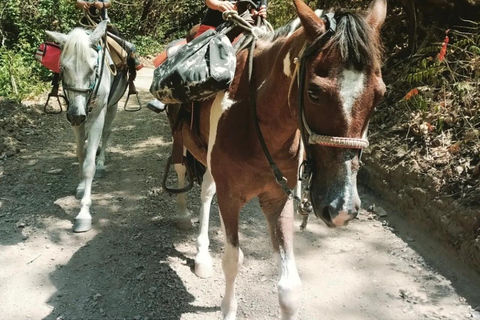 Playa Venao: Horseback Riding Tour