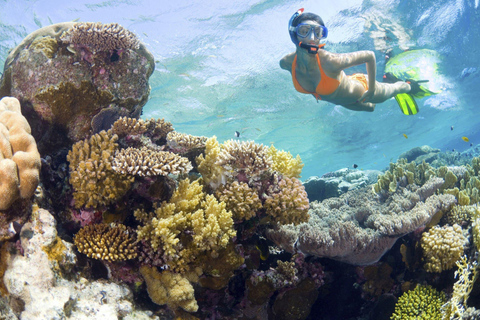 Sharm El Sheikh: Ras Mohamed & White Island Sea Trip, Diving Ras Mohamed, White Island Snorkel Small Package w/Lunch