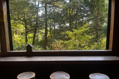 Äventyr i Mount Takao: Upptäck natur och tradition i Tokyo