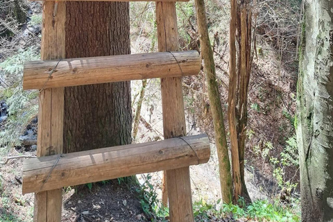 Brașov: Seven Ladders Canyon Guided Hike with Pickup
