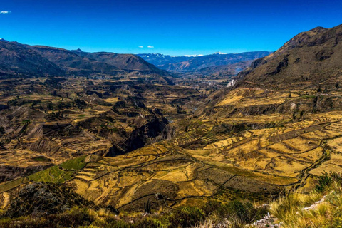 2 days and 1 night tour to Colca Canyon from Arequipa