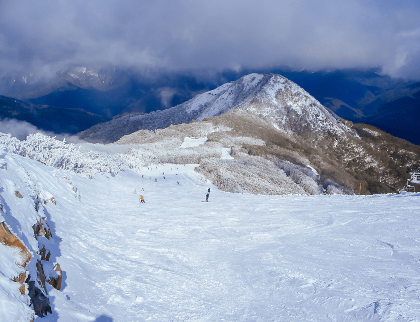 Mt Buller | One day tour | Melbourne Snow | GetYourGuide