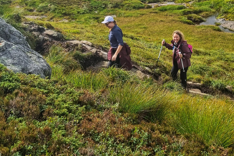 Bergen: Private Guided Fjord Hike