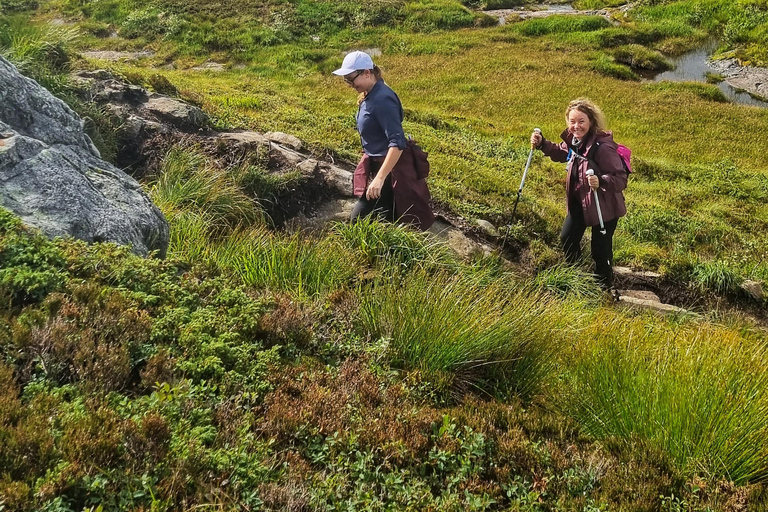 Bergen: Private Guided Fjord Hike