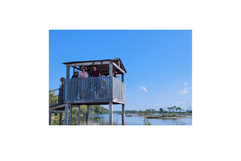 Desde Durres: Laguna de Karavasta y tour de la ciudad antigua de Apolonia