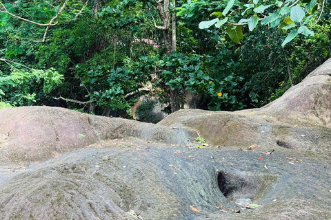 From Colombo: Gampaha District Temples & Jungle Hike Tour