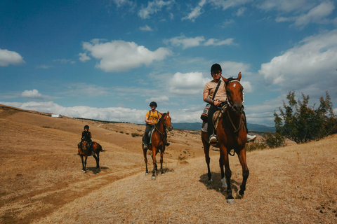 Tbilisi: Horseback Riding Experience Tbilisi: Horseback Riding Experience