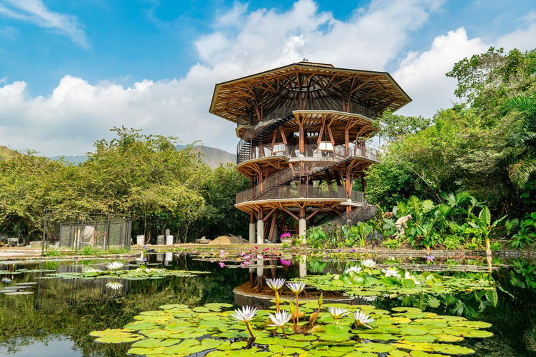 Billet d'accès au zoo de Cali
