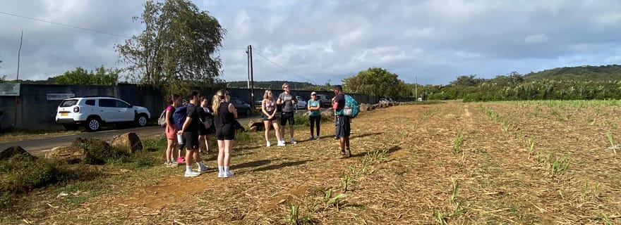 Randonnée aux chutes de Tamarin et déjeuner authentique (avec transferts)