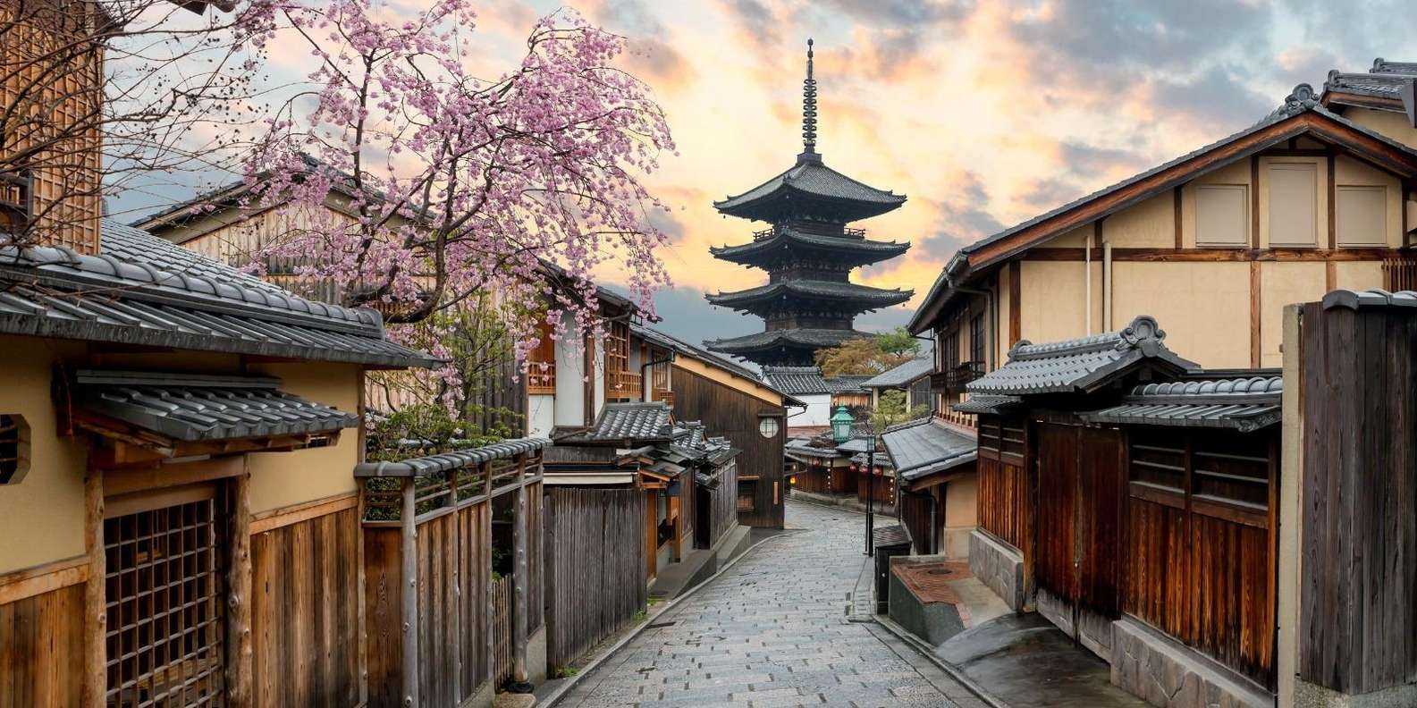 Kyoto/Osaka: Kyoto and Nara Customized Private Guided Tour