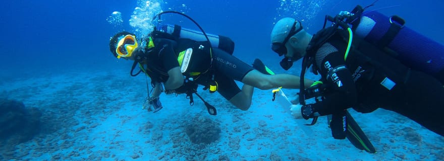 Exploration encadrée pour plongeurs certifiés (N1, PE20, Open Water min.)