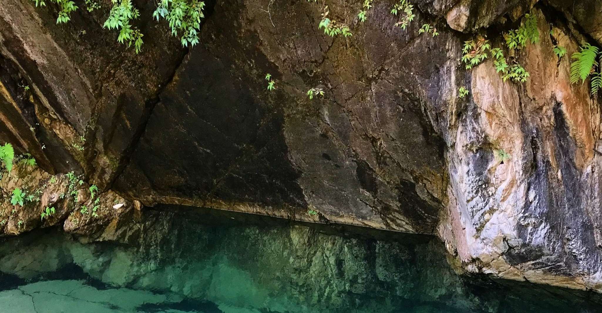 Puerto Vallarta, 4-Hour Jungle Hike and Waterfall Swim - Hizvo