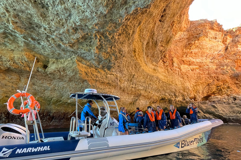 Combo: Benagil & Dolphins Boat Tour w/ Marine Biologists
