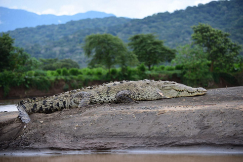 Carara National Park: Beste Tour Carara National Park - Ein Tag