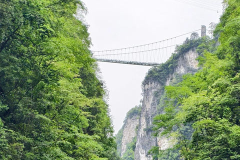 Zhangjiajie Grand Canyon, Glass Bridge with 5 Adventures Guide for other languages