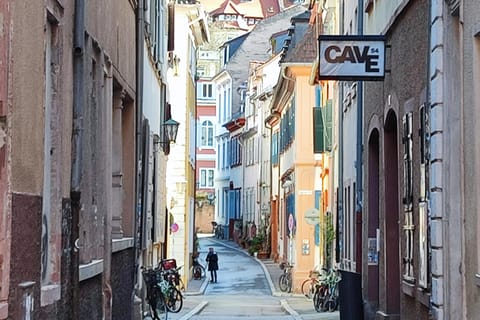 PRIVATE EXPRESS-TOUR durch Heidelberg – die Highlights in 1 Stunde