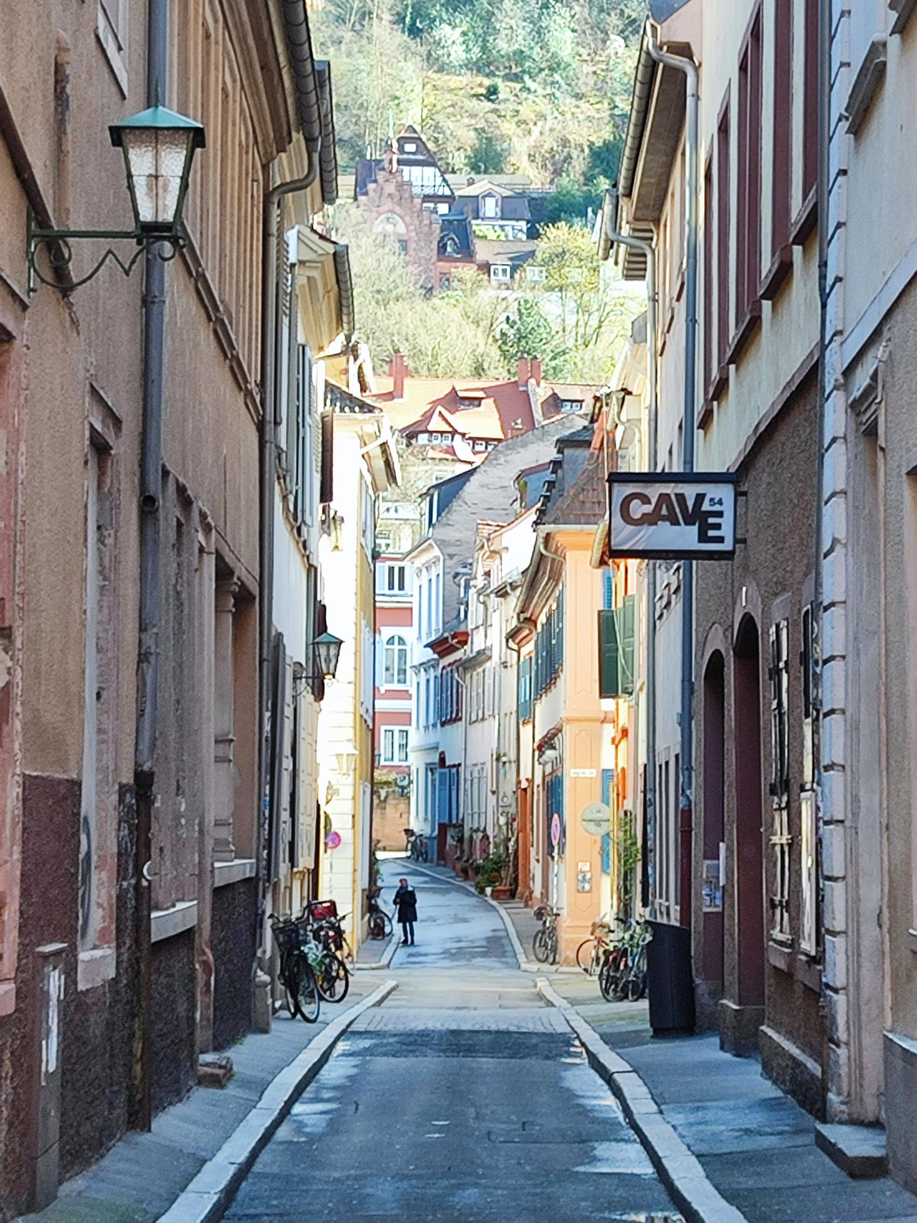 PRIVATE EXPRESS-TOUR durch Heidelberg – die Highlights in 1 Stunde