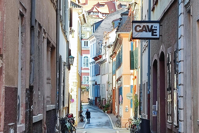 High Lights of Heidelberg - Private Tour of Castle and Town Heidelberg: All Inclusive Private Tour - Castle and Old Town