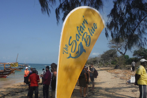 Zanzibar: Safari Blue Sea Trip całodniowa wycieczka z nurkowaniem i lunchem