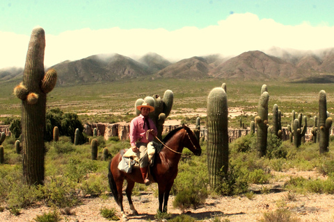 Horseback riding in the Calchaquí Valleys - Salta - Argentina