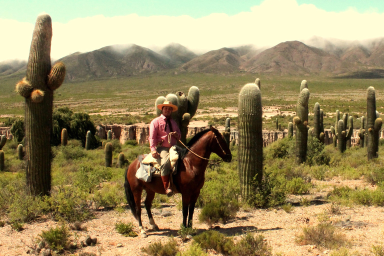 Horseback riding in the Calchaquí Valleys - Salta - Argentina