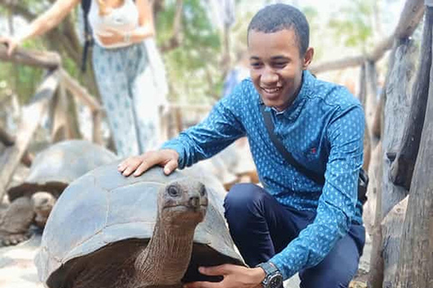 Zanzibar: Tour privato di mezza giornata di Prison Island.