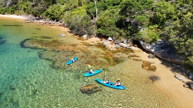 Sydney: Guided Kayak Taster Tour from Manly