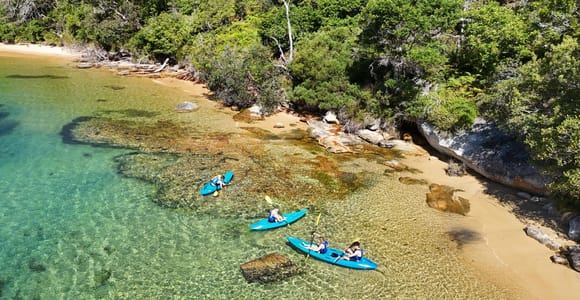 Sydney: Guided Kayak Taster Tour from Manly