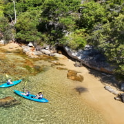 Sydney: Guided Kayak Taster Tour from Manly
