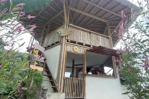 Minca: Coffee Farm and Hidden Waterfall Tour with Lunch