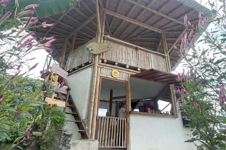 Minca: Coffee Farm and Hidden Waterfall Tour with Lunch