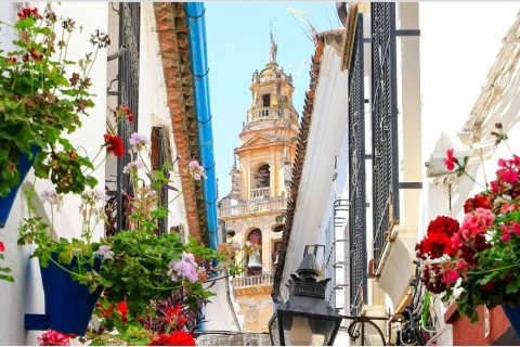 Ab Sevilla: Kulturerbe-Tagestour nach Córdoba