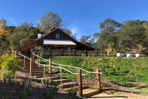 San Francisco: 5-Day California Coast, Vineyards & Wine Tour Double Occupancy Room