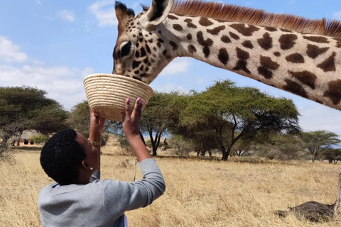 Serval Wildlife : Day Wildlife Tour With Animals Encounters