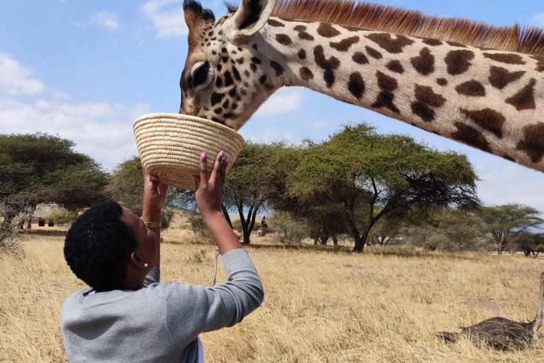 Serval Wildlife : Day Wildlife Tour With Animals Encounters