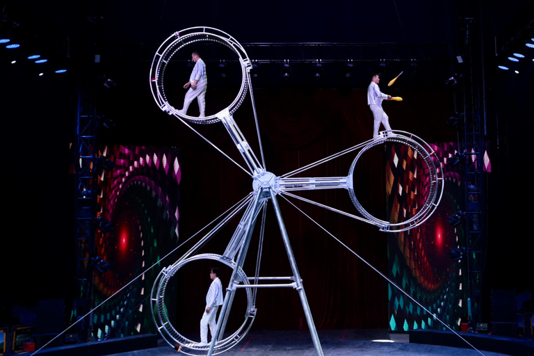 جولة تجمع بين الألعاب البهلوانية وعروض الأوبرا في بكين