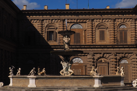 Florence: Pitti Palace and Boboli Gardens Ticket & eBook