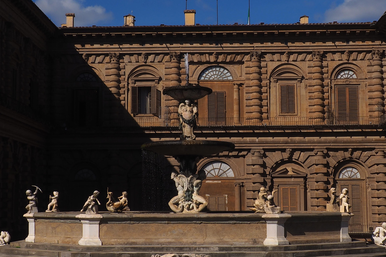 Florence: Pitti Palace and Boboli Gardens Ticket & eBook